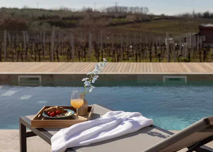 Vila Luxury Deneb With Pool Near Porec *