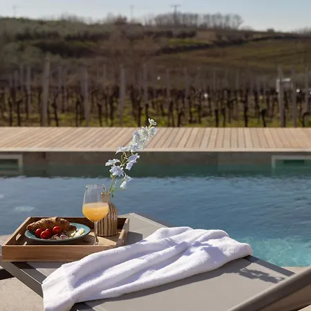 Villa Luxorius Istrian Deneb *
